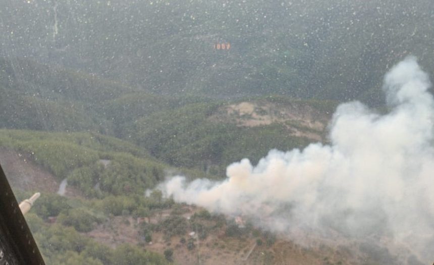 orman yangını söndürüldü Milas yangın kontrol altına alındı Milas orman yangını