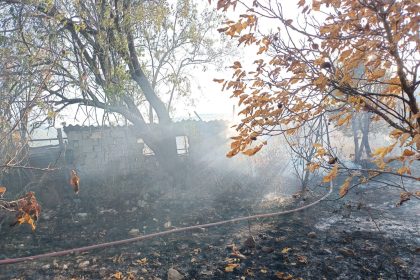 Menteşe yangın menteşe ağaç yangını menteşe bahçe yangını
