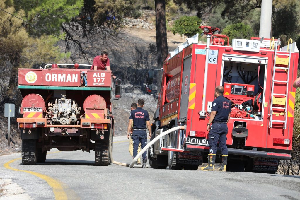 muğla orman yangını muğla orman yangını son durum dalaman orman yangını son durum menteşe orman yangını muğla yangın son dakika
