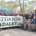İYİ Parti Muğla Milletvekili Metin Ergun Danıştay 8. Dairesi İYİ Parti Muğla Milletvekili Metin Ergun zeytinlik davası kararı
