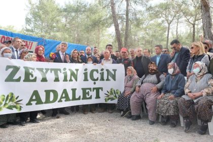 İYİ Parti Muğla Milletvekili Metin Ergun Danıştay 8. Dairesi İYİ Parti Muğla Milletvekili Metin Ergun zeytinlik davası kararı