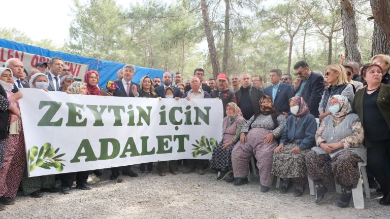 İYİ Parti Muğla Milletvekili Metin Ergun Danıştay 8. Dairesi İYİ Parti Muğla Milletvekili Metin Ergun zeytinlik davası kararı