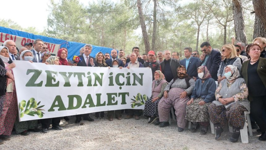 İYİ Parti Muğla Milletvekili Metin Ergun Danıştay 8. Dairesi İYİ Parti Muğla Milletvekili Metin Ergun zeytinlik davası kararı