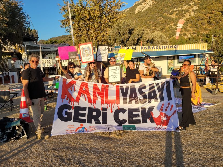 Fethiye eylem Uluslararası Ölüdeniz Hava Oyunları Festivali sokak hayvanları için eylem sokak hayvanları Uluslararası Ölüdeniz Hava Oyunları Festivali Hayvan Koruma Kanunu değişikliği
