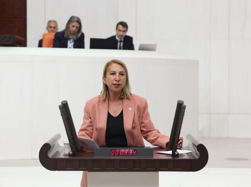 Süreyya Öneş Derici sığınmacı soru önergesi Süreyya Öneş Derici içişleri bakanı soru önergesi İçişleri Bakanı Ali Yerlikaya soru önergesi