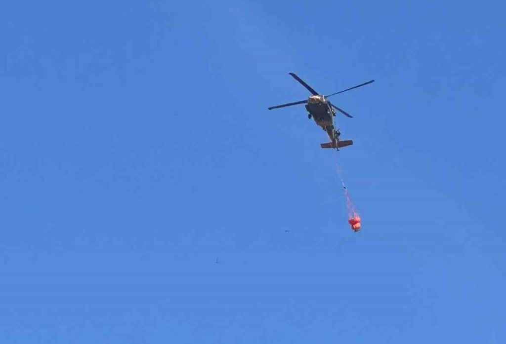 denizli yangın, denizli orman yangını, denizli yangın son dakika, denizli haber, denizli orman yangını son dakika