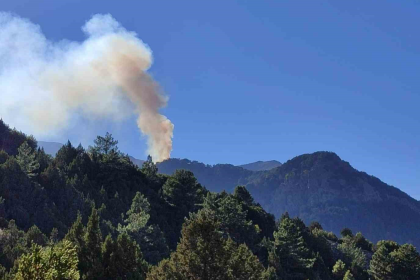 denizli yangın, denizli orman yangını, denizli yangın son dakika, denizli haber, denizli orman yangını son dakika