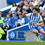 brighton – wolverhampton, brighton wolverhampton maçı, brighton wolverhampton maçı hangi kanalda, brighton wolverhampton maçı saat kaçta, ferdi kadıoğlu