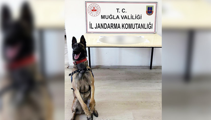 yatağan marmaris uyuşturucu operasyonu marmaris uyuşturucu operasyonu yatağan uyuşturucu operasyonu jandarma uyuşturucu jandarma muğla uyuşturucu operasyonu