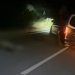 Marmaris bir eşek hayatını kaybeti Marmaris trafik kazası