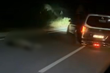 Marmaris bir eşek hayatını kaybeti Marmaris trafik kazası