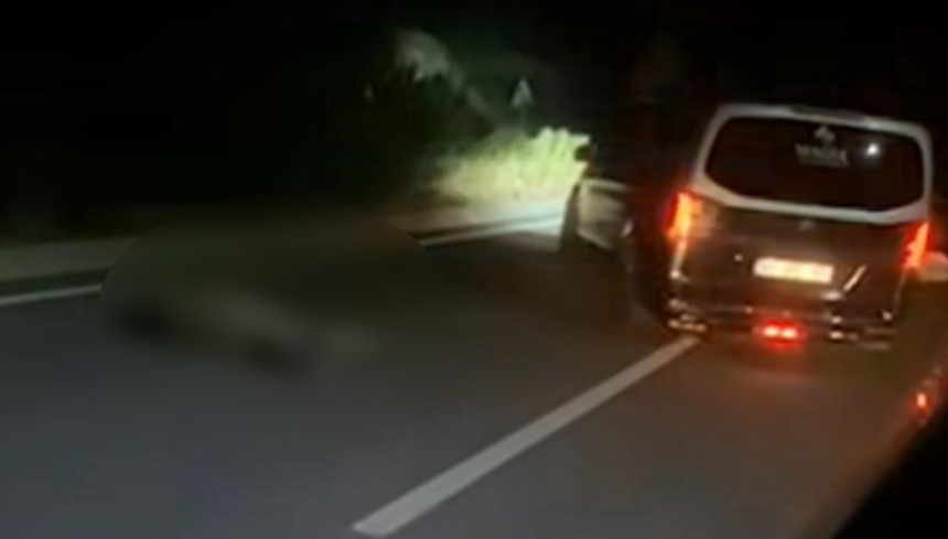 Marmaris bir eşek hayatını kaybeti Marmaris trafik kazası