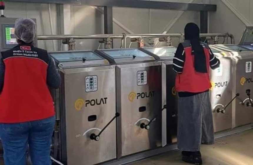 Fethiye İlçe Tarım ve Orman Müdürlüğü Fethiye İlçe Tarım ve Orman Müdürlüğü zeytinyağ denetimi zeytinyağ denetimi fethiye denetim fethiye taklit ürün denetimi