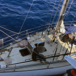 Marmaris göçmen kaçakçılığı marmaris açıkları marmaris göçmen marmaris sahil güvenlik