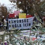 çevre örgütleri açıklama çevre örgütleri iklim zirvesi çevre örgütleri iklim zirvesi açıklaması çevre örgütleri ortak açıklama cop29