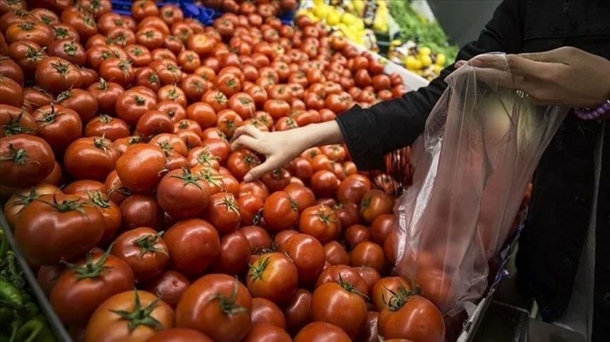 Kasım ayı enflasyon beklentisi kasım ayı enflasyon oranı kasım ayı enflasyon tahmini 2024 aylık enflasyon oranları kasım ayı enflasyon