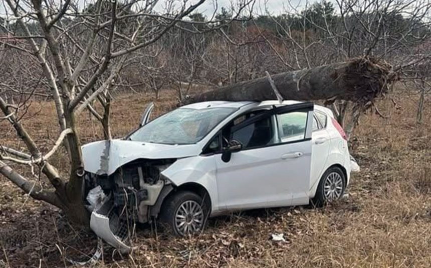 Fadıl Mahalle Muhtarı Barış Akgül Ula trafik kazası Fadıl Mahalle Muhtarı Barış Akgül kaza
