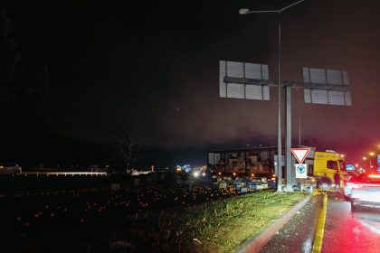 Menteşe narenciye menteşe kaza menteşe yola dökelen narenciye