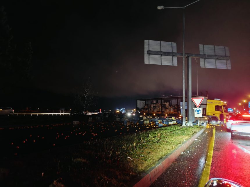 Menteşe narenciye menteşe kaza menteşe yola dökelen narenciye