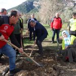 menteşede zeytin fidanı dağıtıldı, menteşede yeniden ağaçlandırma, menteşede zeytin fidanı, çevre kuruluşları dayanışma derneği, muğla tarım ve orman il müdürlüğü