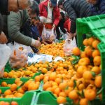 bodrumda mandalina dağıtımı, bodrum belediye meydanında mandalina, bodrumda ücretsiz mandalina, bodrum mandalini dağıtımı, ücretsiz bodrum mandalini