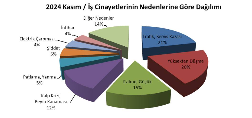 2024 Kasım Ayı İş Cinayeti Raporu İSİG Meclisi kasım ayı raporu Muğla iş cinayeti Muğla isig verisi muğla iş cinayeti verisi 2024 Kasım Ayı İş Cinayeti Raporu