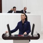 CHP Muğla Milletvekili Gizem Özcan murat kurum'a soru önergesi CHP Muğla Milletvekili Gizem Özcan bozburun soru önergesi Bozburun Marina soru önergesi