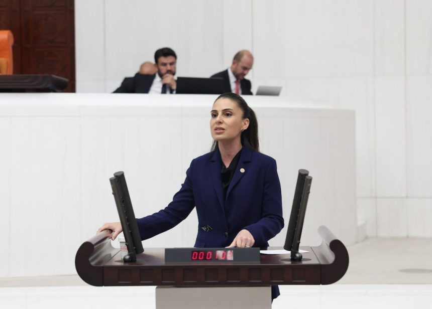 CHP Muğla Milletvekili Gizem Özcan murat kurum'a soru önergesi CHP Muğla Milletvekili Gizem Özcan bozburun soru önergesi Bozburun Marina soru önergesi