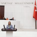 Rüzgar Enerji Santrali Bodrum res projesi CHP Muğla Milletvekili Süreyya Öneş Derici