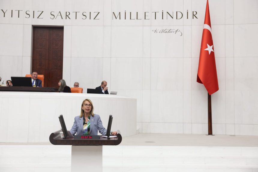 Rüzgar Enerji Santrali Bodrum res projesi CHP Muğla Milletvekili Süreyya Öneş Derici