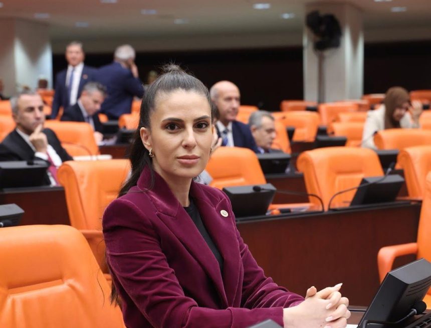 CHP Muğla Milletvekili Gizem Özcan CHP Muğla Milletvekili Gizem Özcan erdoğana yanıt Recep Tayyip Erdoğan Muğla Gizem Özcan Muğla yatırım Gizem özcan cumhurbaşkanına yanıt