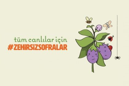 Zehirsiz Sofralar Platformu Pestisit Zehirsiz Sofralar Platformu Zehirsiz Sofralar İçin Yol Haritası