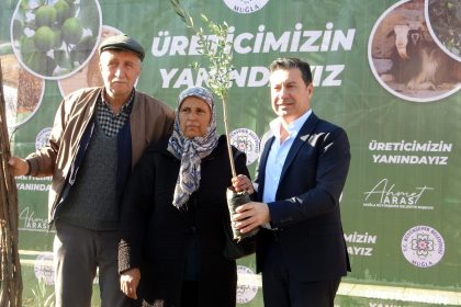 menteşede fidan dağıtımı, menteşe belediyesi fidan dağıtımı, muğla büyükşehir belediyesi fidanlığı, muğla büyükşehir belediyesi fidan dağıtımı, muğlada fidan dağıtımı