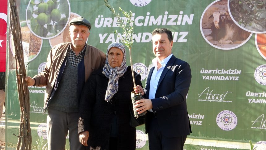 menteşede fidan dağıtımı, menteşe belediyesi fidan dağıtımı, muğla büyükşehir belediyesi fidanlığı, muğla büyükşehir belediyesi fidan dağıtımı, muğlada fidan dağıtımı