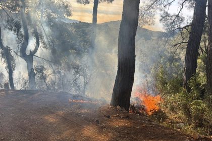 Fethiye orman yangını İncirköy Mahallesi yangın Fethiye yangın Muğla yangın