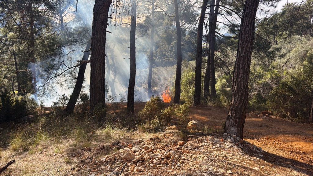 Fethiye orman yangını İncirköy Mahallesi yangın Fethiye yangın Muğla yangın