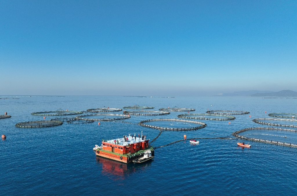 muğla su ürünleri, muğla 2024 su ürünleri, muğla su ürünleri ihracatı, su ürünleri ihracatı muğla, su ürünleri muğla