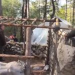 muğla kaçak avcılık muğla kaçak avcı muğla avcı barakası menteşe kaçak avcılık kaçak avcılık operasyonu