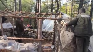 muğla kaçak avcılık muğla kaçak avcı muğla avcı barakası menteşe kaçak avcılık kaçak avcılık operasyonu