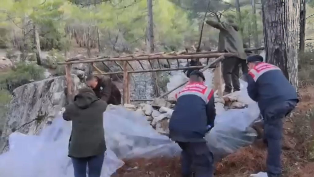 muğla kaçak avcılık muğla kaçak avcı muğla avcı barakası menteşe kaçak avcılık kaçak avcılık operasyonu