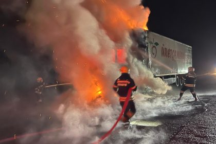 Muğla Büyükşehir Belediyesi İtfaiye Daire Başkanlığı Muğla Büyükşehir Belediyesi itfaiyesi muğla itfaiyesi 2024 verileri Muğla yangın