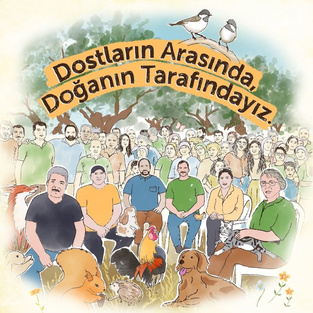 grafik tasarımcı Yasemin Sayıbaş Akyüz akbelen ormanı görsel tasarım