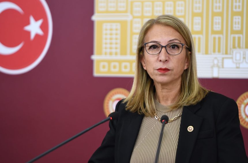 süreyya öneş derici, göcek tüneli, göcek tüneline zam, göcek tüneli geçiş ücreti, chp muğla milletvekili soru önergesi