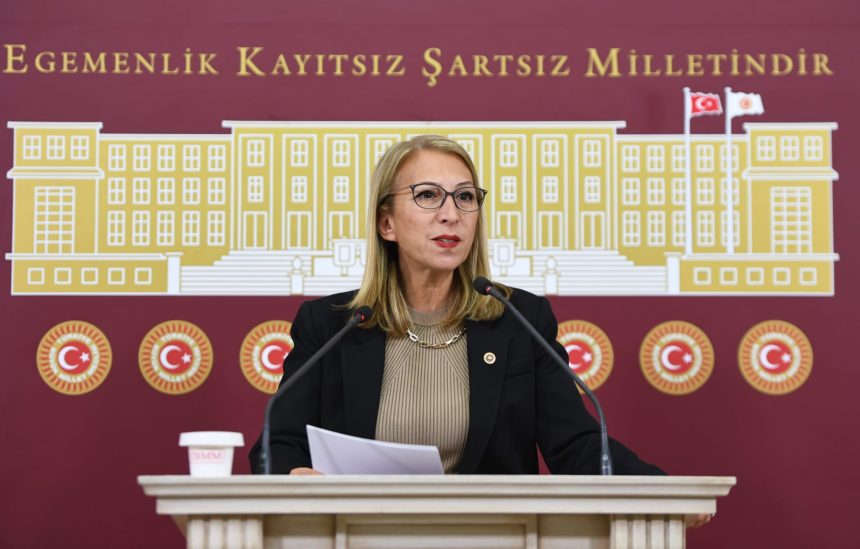 CHP Muğla Milletvekili Süreyya Öneş Derici asgari ücret memur zammı