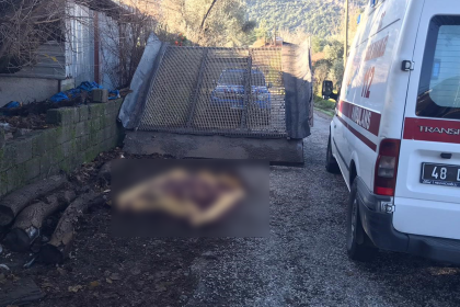 Seydikemer Veysel Gedik Seydikemer kum eleği