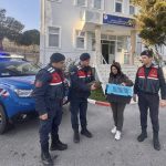 datça yaralı şahin, datçada yaralı şahin, yarali şahin datça, datça şahin, datça jandarma yaralı şahin