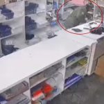 muğlada hırsızlık menteşede hırsızlık hırsızlık menteşe muğlada cezaevinden çıkan hırsız muğlada cezaevinden çıkan şahıs