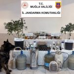 Ortaca uyuşturucu operasyonu ortaca jandarma operasyonu Jandarma kaçak alkol operasyonu