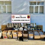Muğla kaçak tütün operasyonu Yatağan kaçak tütün Menteşe kaçak tütün Muğla jandarma operasyonu