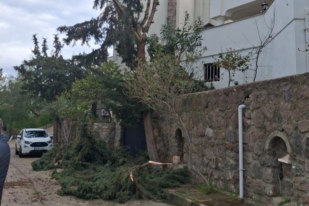 bodrumda ağaç budarken düşen, bodrum tutuklama , bodrumda duvardan düşen, bodrumda duvardan düştü öldü, bodrumda ağaç budarken öldü